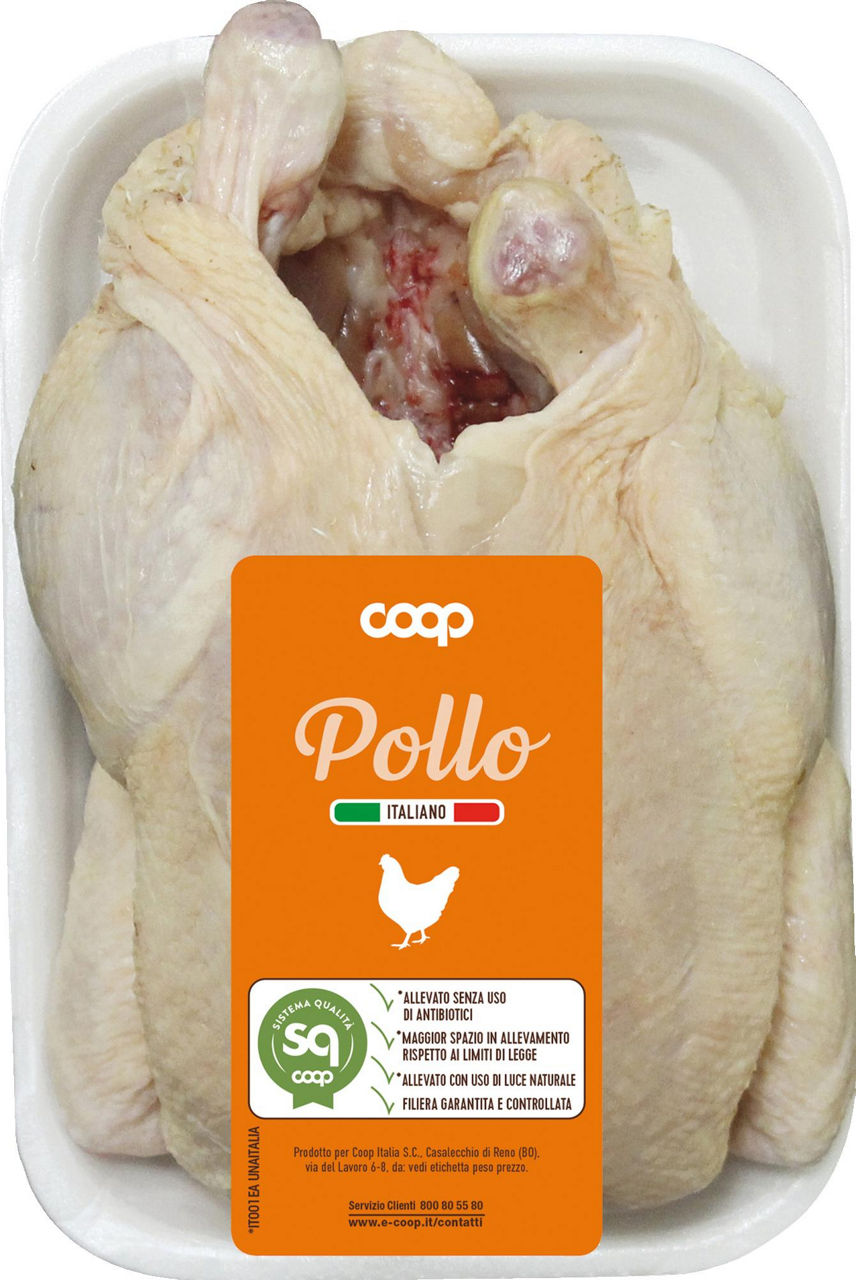 Busto di pollo