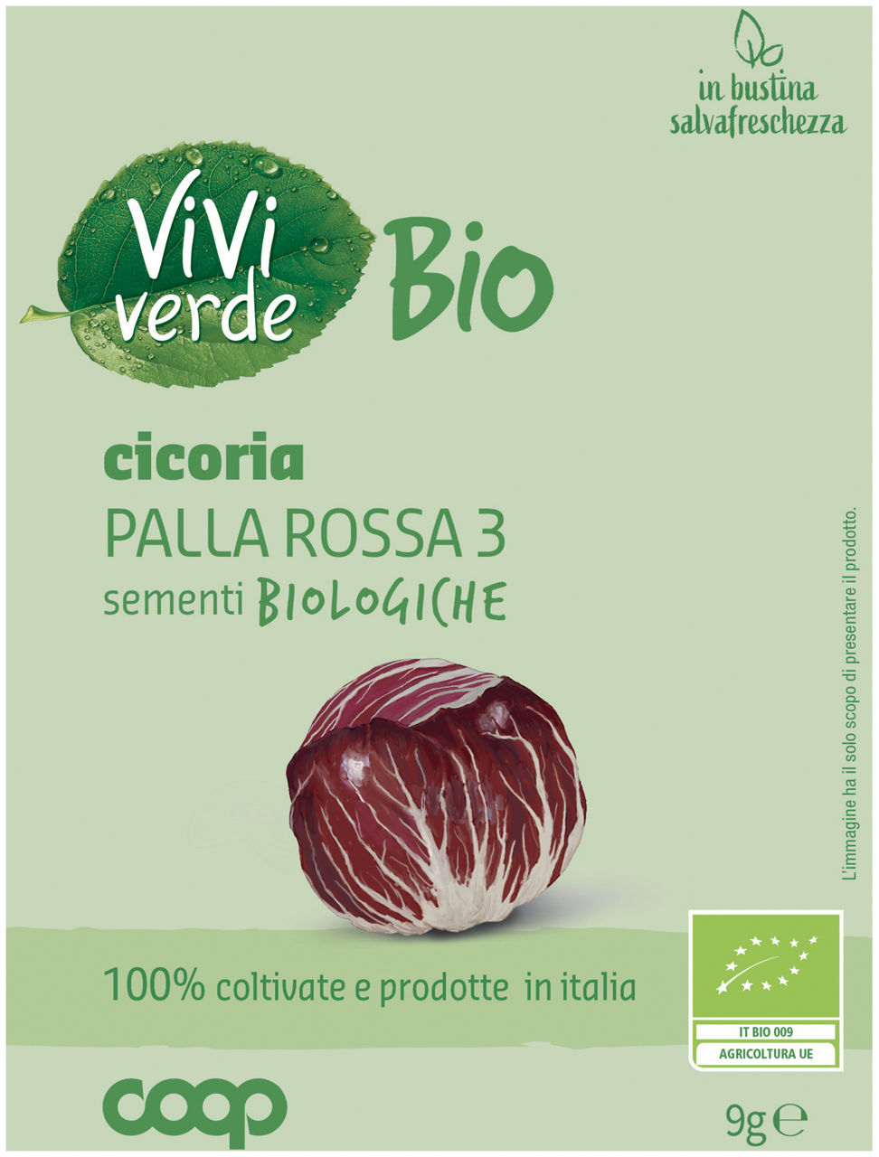 Sementi bio cicoria palla rossa 3 gr 9