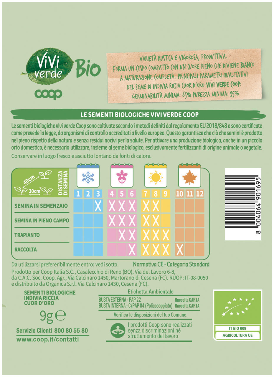 Sementi Bio Indivia riccia cuor d'oro gr 9 - Immagine 11