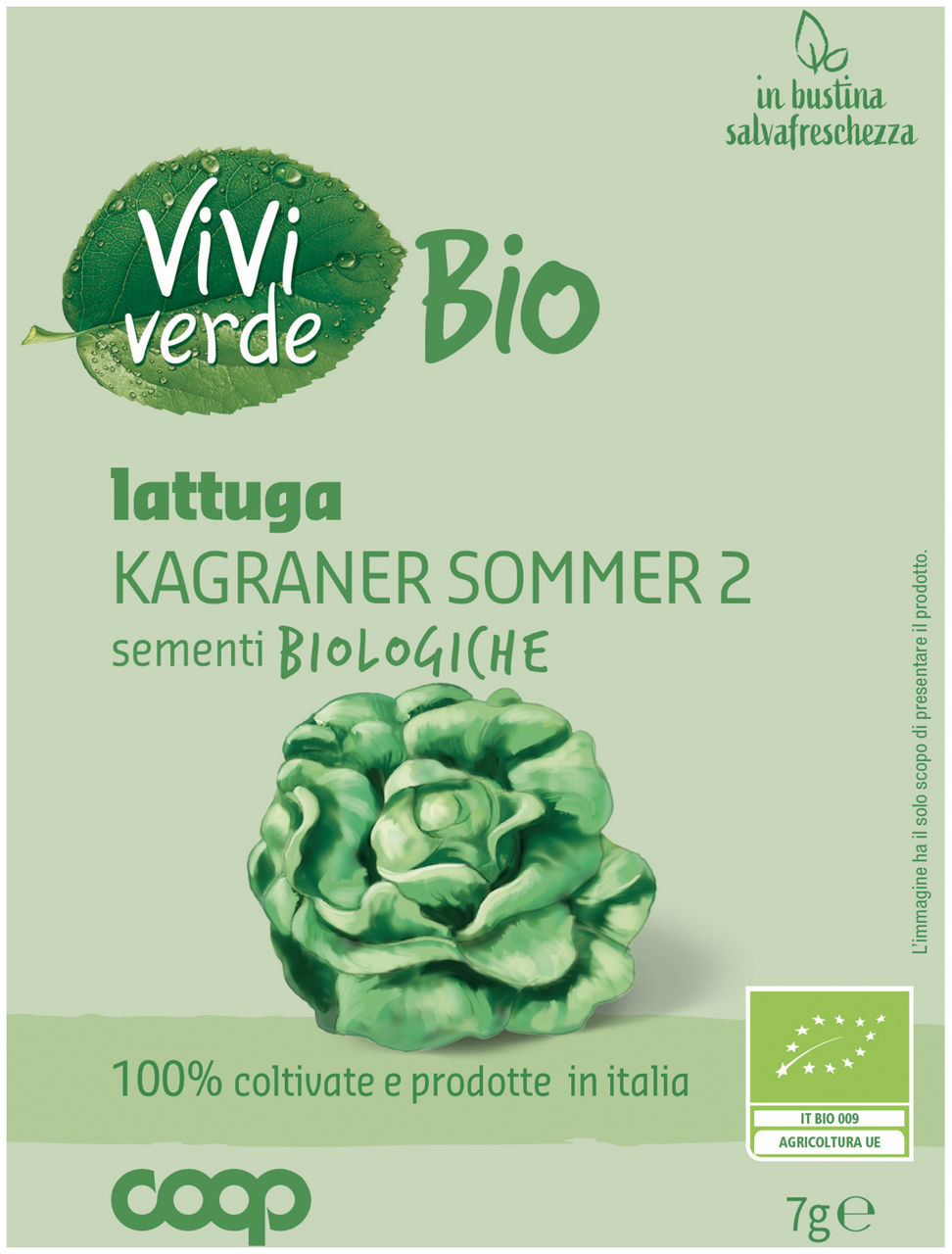 Sementi bio lattuga estiva di kagran 2 gr 7  - 0