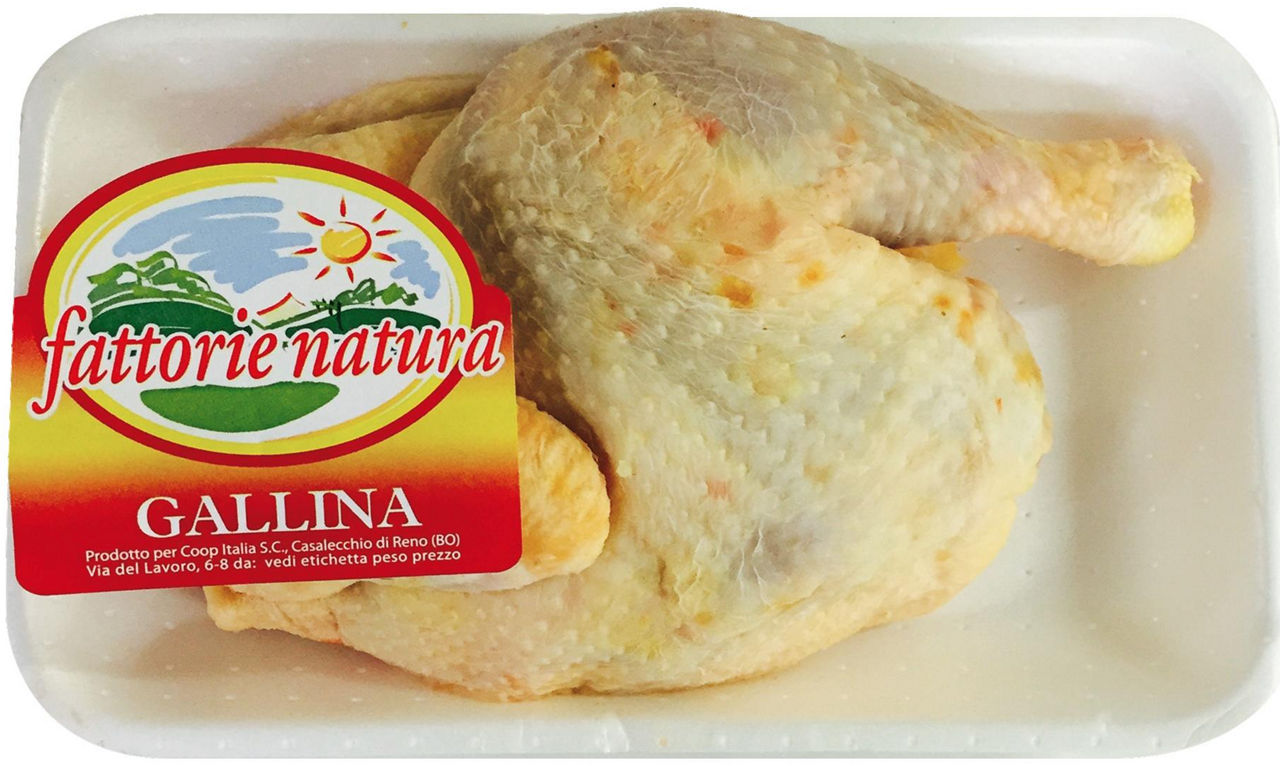 Metà busto di gallina - Immagine 01