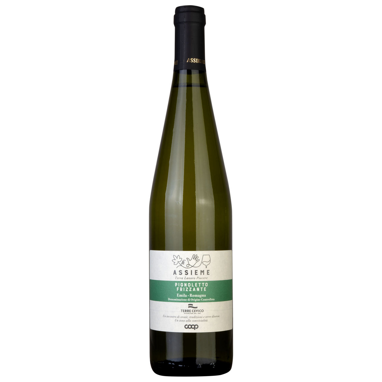 Vino frizzante Pignoletto Emilia  Romagna DOC 750 ml