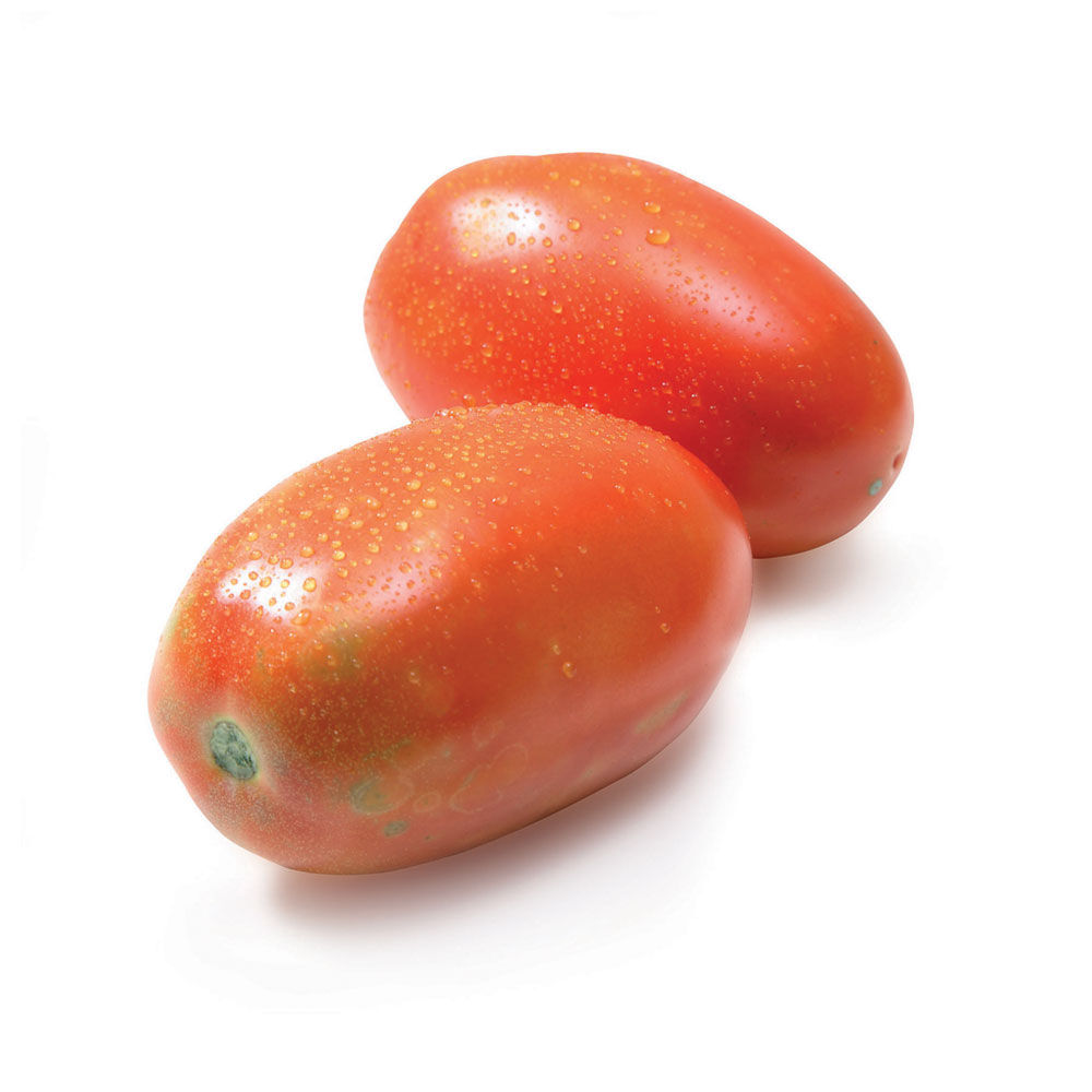 Pomodoro oblungo rosso g500