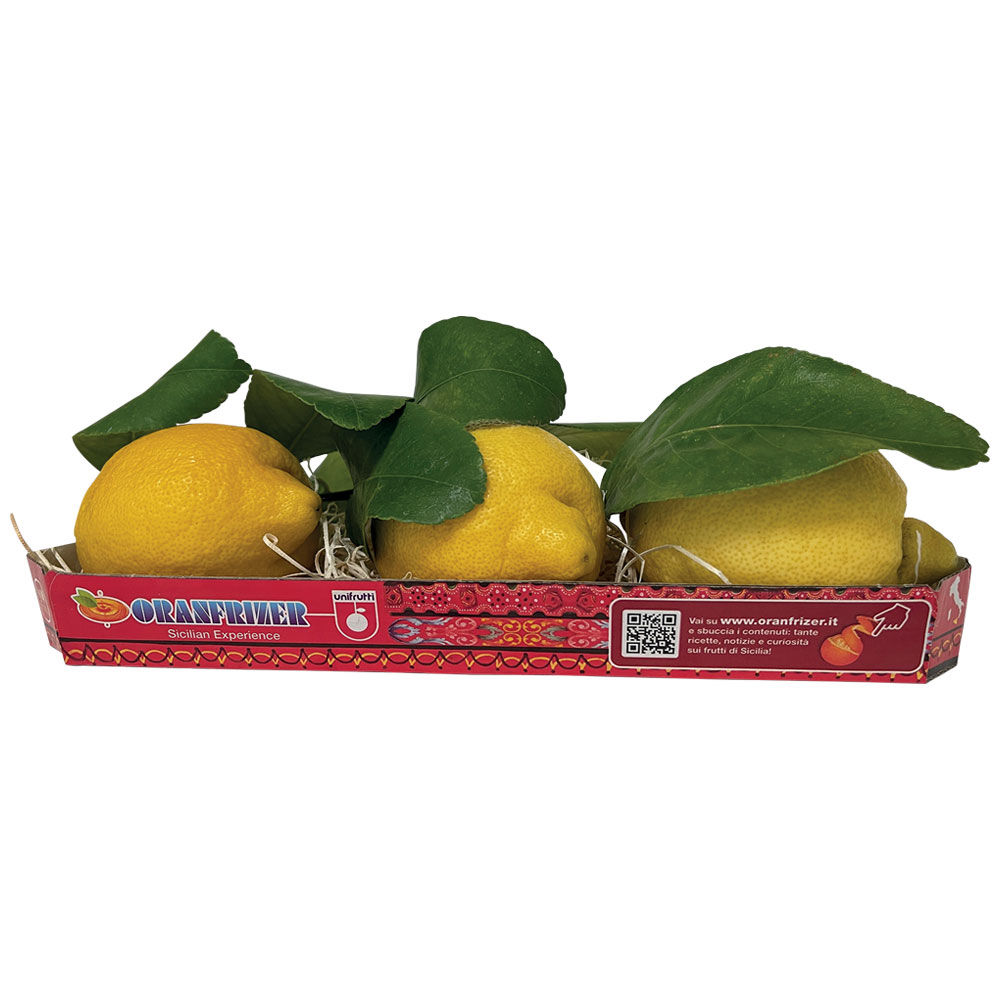 Limoni foglia gr500 