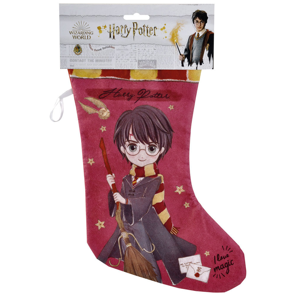 Calza della befana harry potter