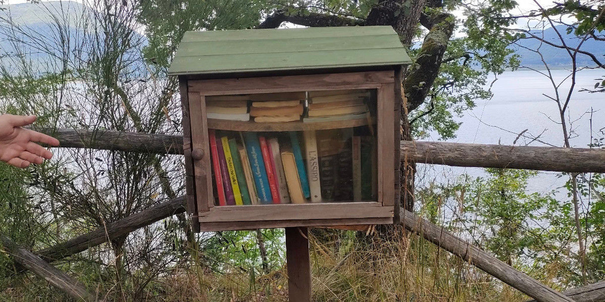 raccoglitore di libri abbandonati nel bosco