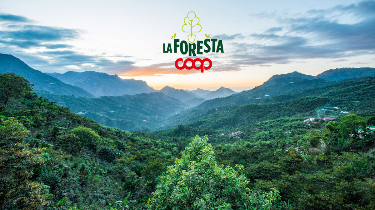 Treedom. Pianta il tuo albero