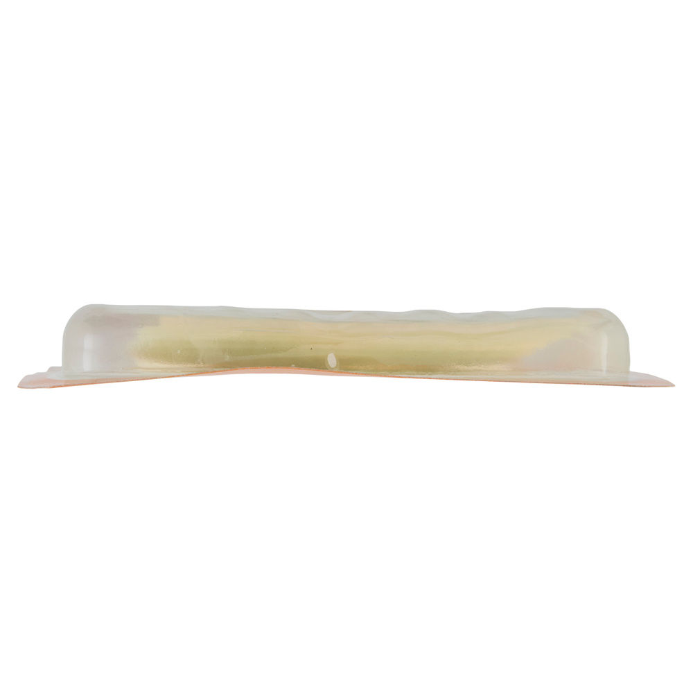 ASIAGO FRESCO DOP 6 FETTE AGRIFORM G 100 - 2