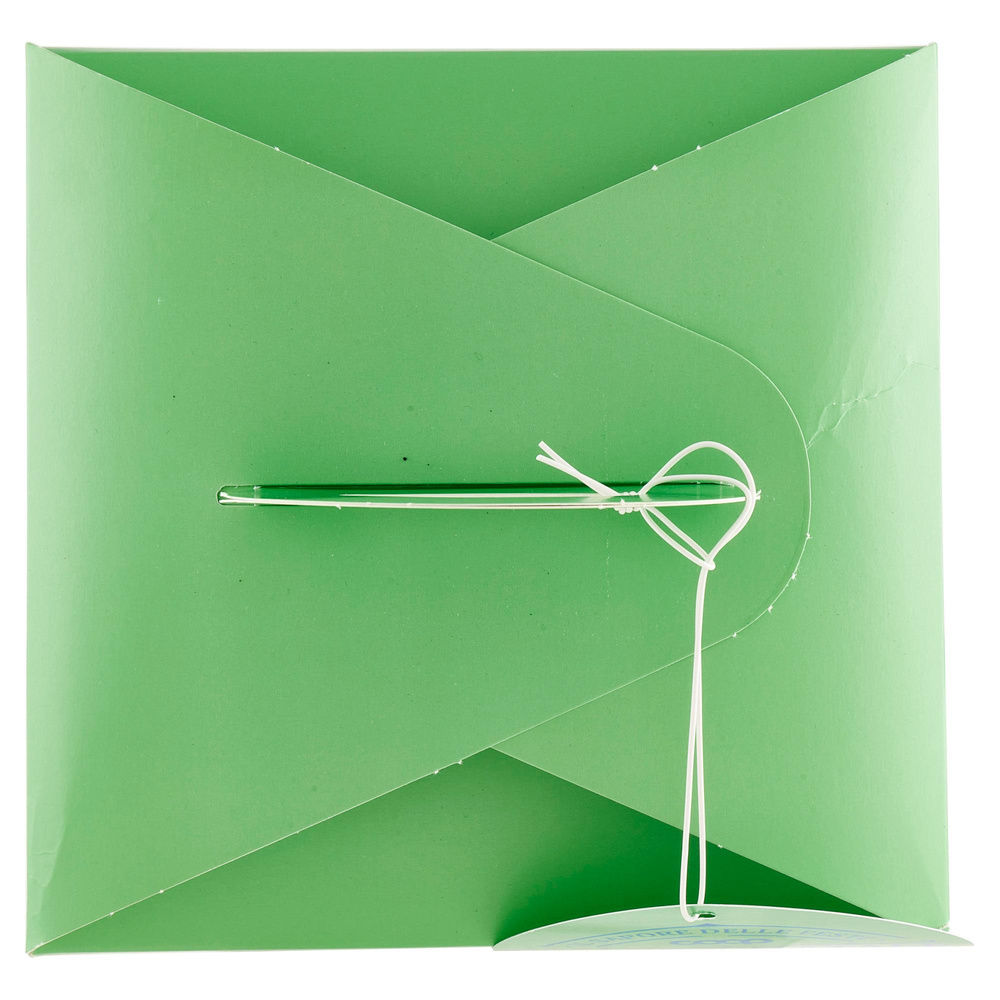 PANETTONE DOLCE DI NATALE CON UVETTA E CUB.DI ARANCIA 100%VEG.COOP G750 - 6