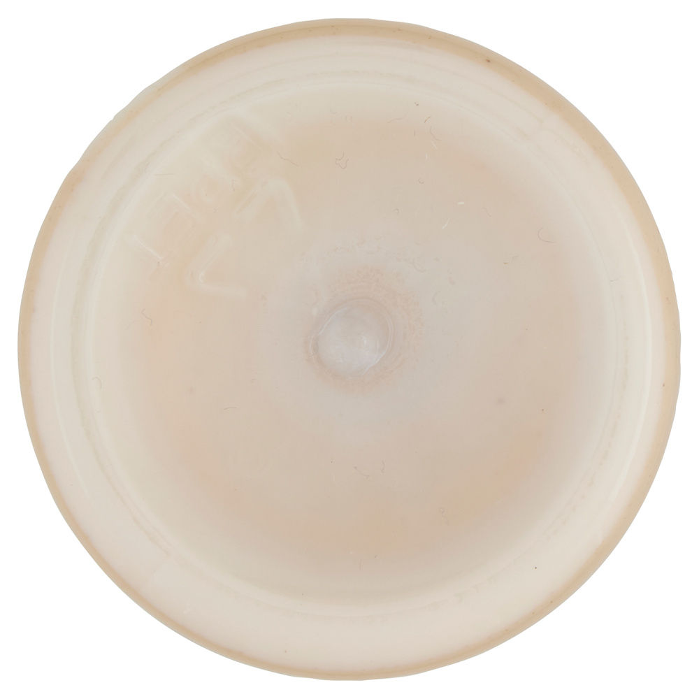 YOGURT CON LATTE DI MONTAGNA (NOCCIOLE DEL PIEMONTE IGP) FIOR FIORE COOP G 150 - 7
