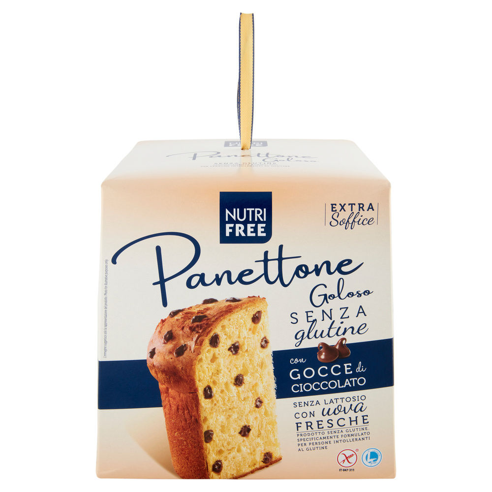 PANETTONE GOLOSO SENZA GLUTINE NT FOOD G600 - 6