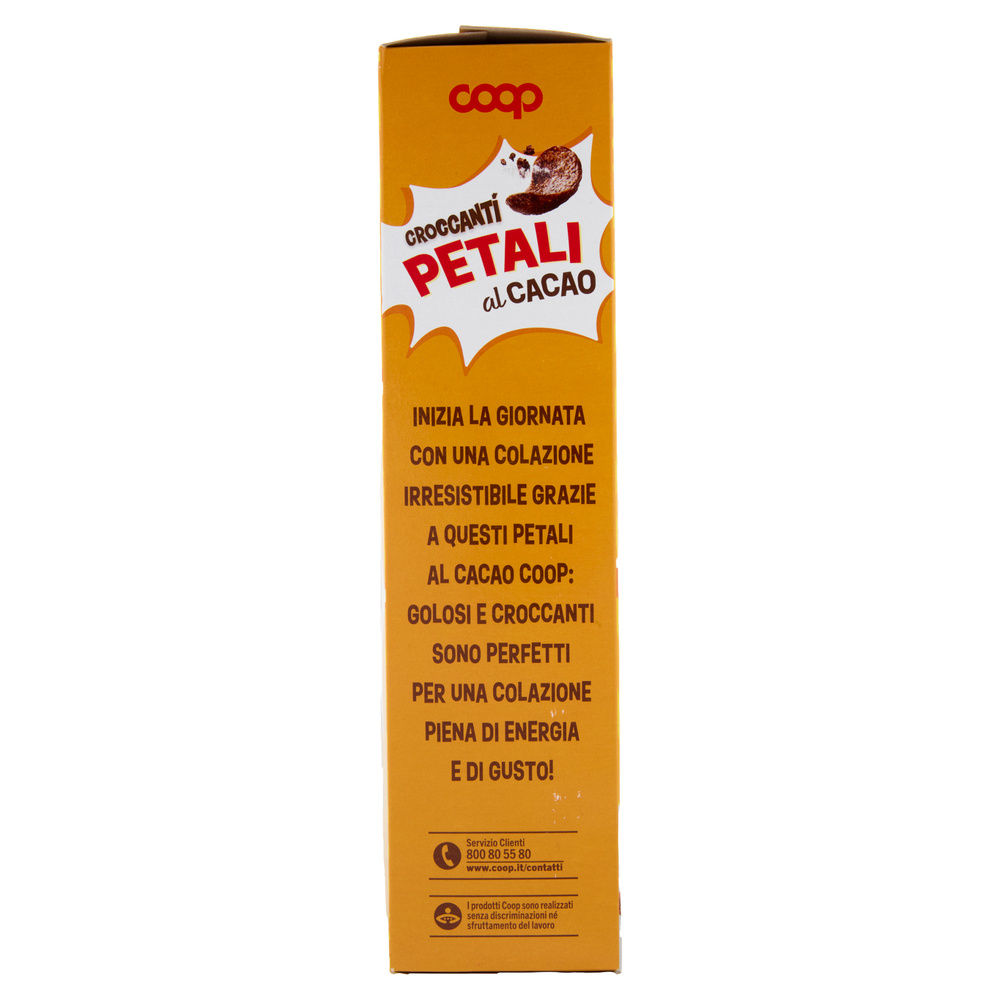 PETALI DI CEREALI AL CACAO COOP SCATOLA G 375 - 5