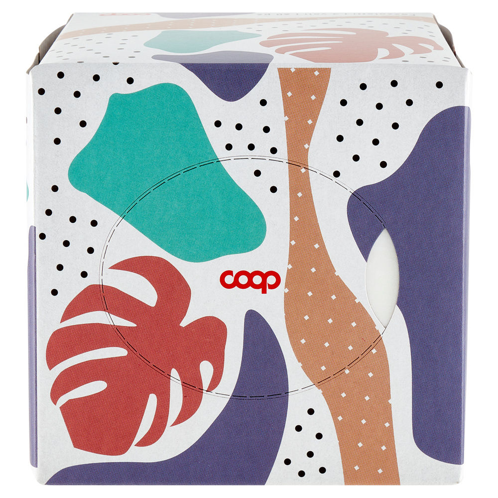 FAZZOLETTI DI CARTA COOP FSC 3 VELI X60PZ CUBO SCATOLA PZ 1 - 3