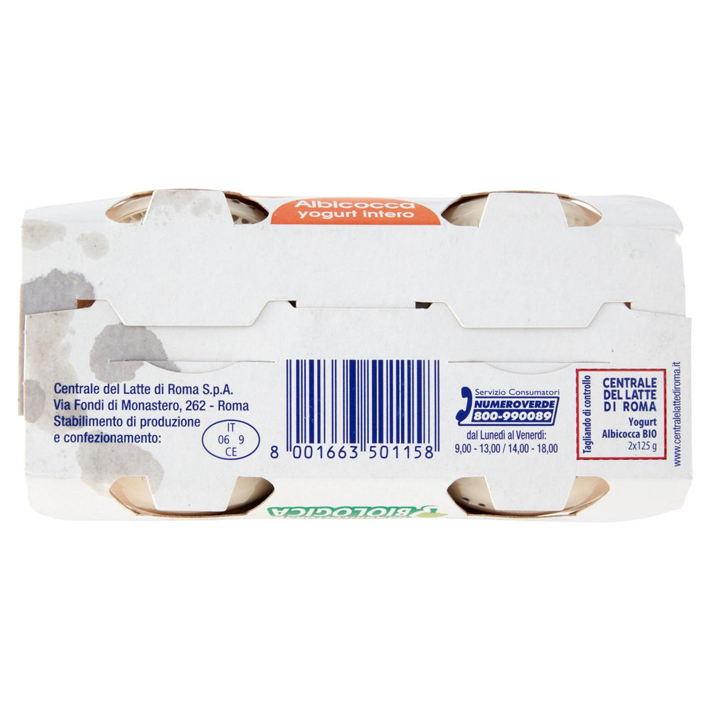 YOGURT BIO INTERO ALBICOCCA CENTRALE DEL LATTE DI ROMA 2X125 G - 2