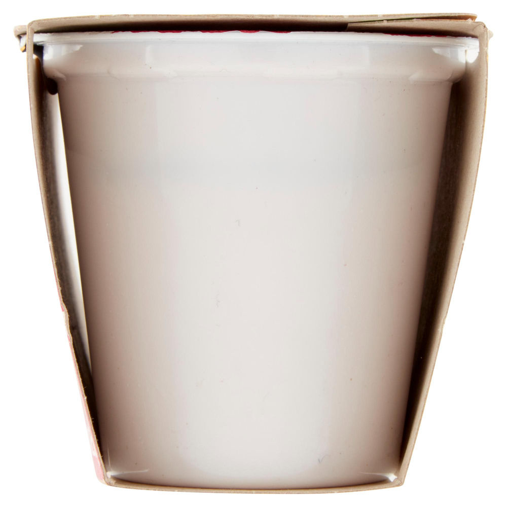 YOGURT DELATTOSATO BENE SI' COOP FRAGOLA G 125X2 - 4