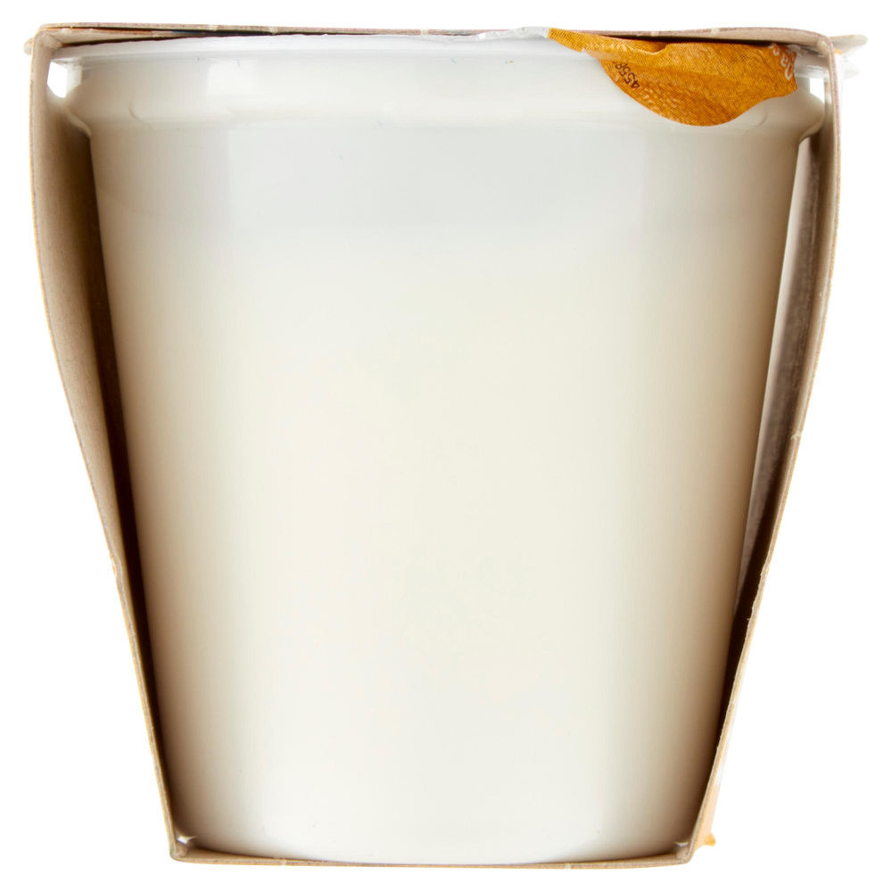 YOGURT DELATTOSATO BENE SI' COOP VANIGLIA G 125X2 - 8