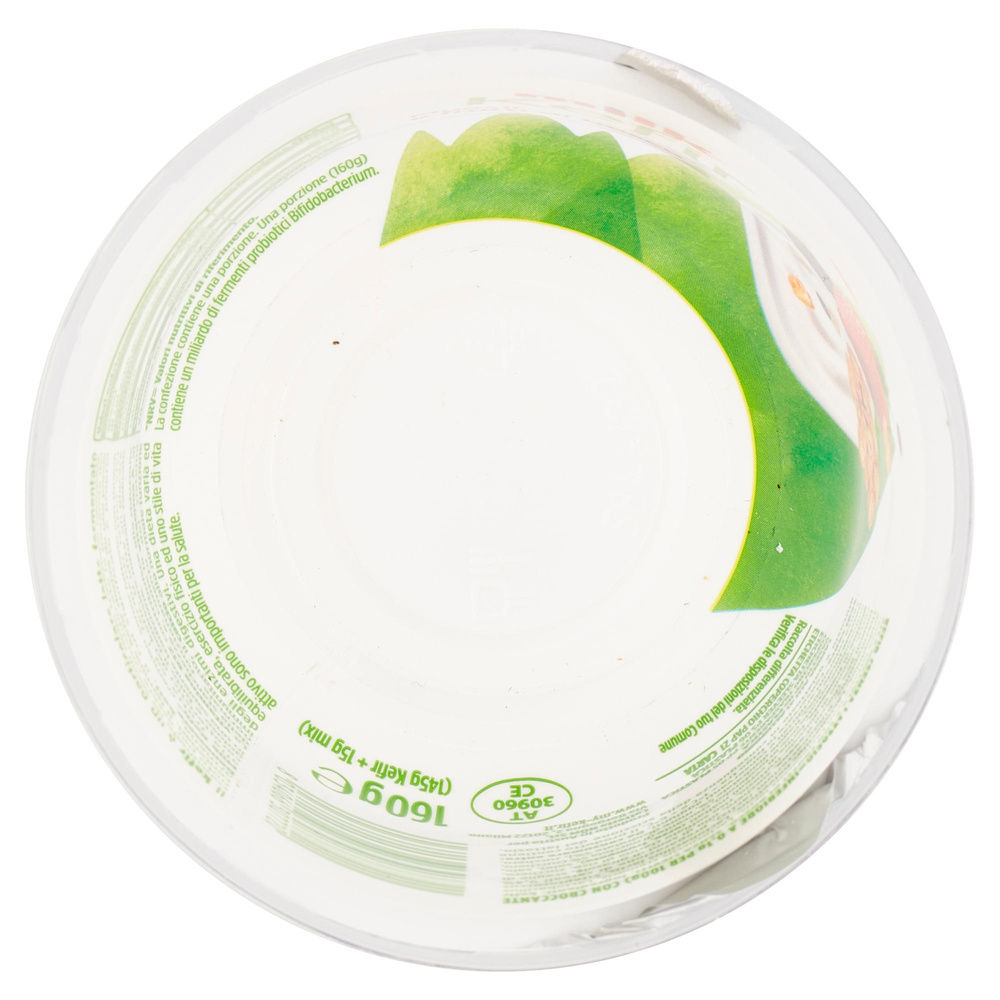 MILK KEFIR MIX CROCCANTE AI FRUTTI DI BOSCO G 160 - 2
