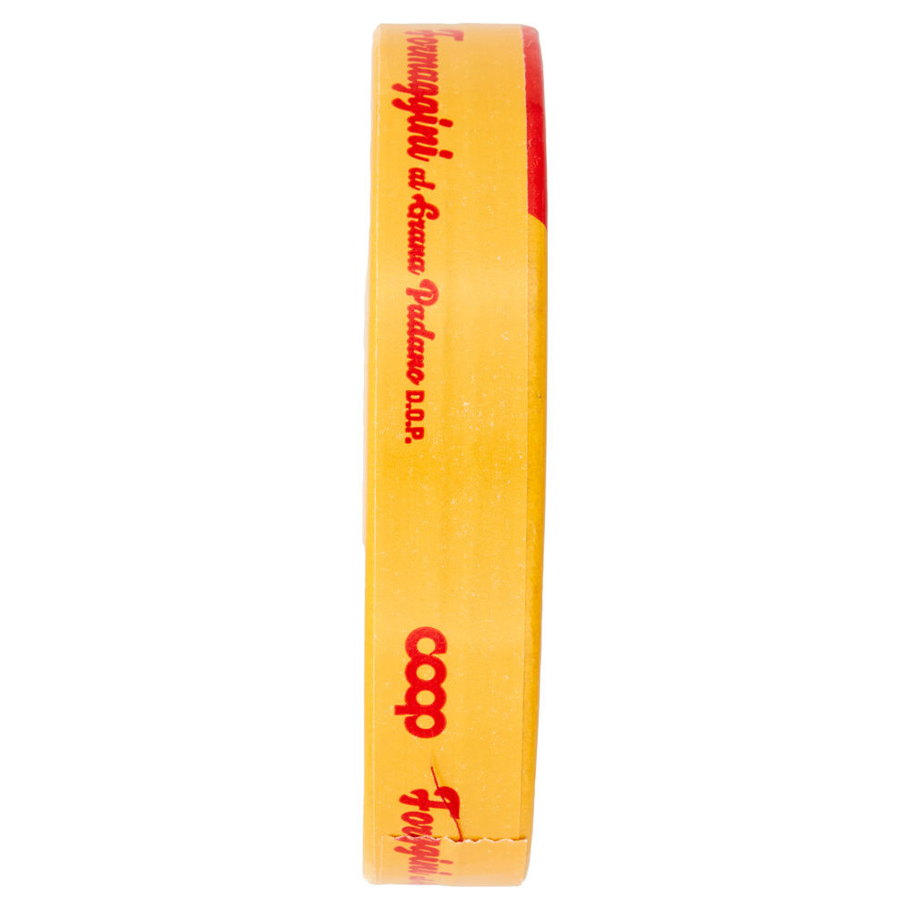 FORMAGGINI CON GRANA PADANO DOP COOP PZ 8 G 140 - 3