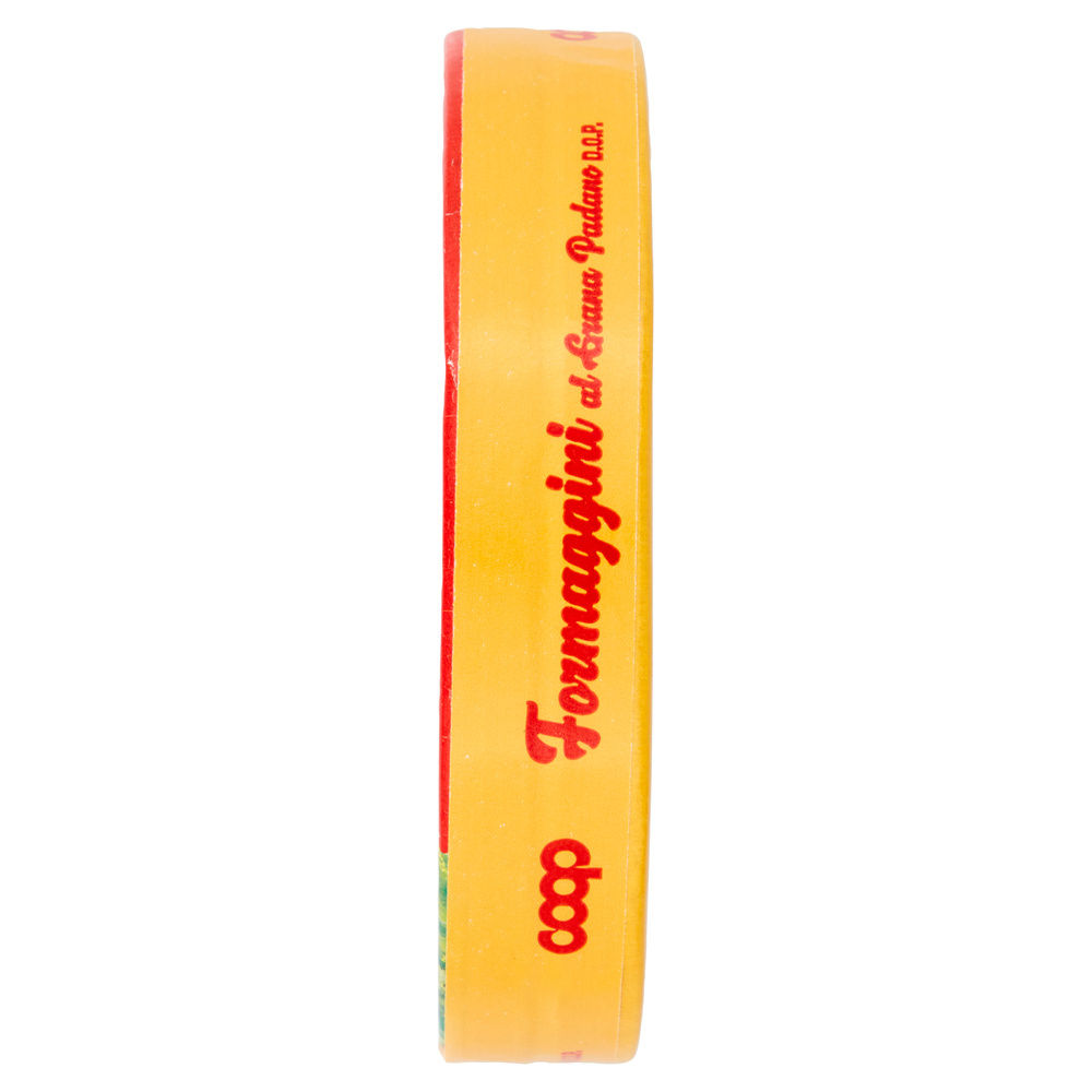 FORMAGGINI CON GRANA PADANO DOP COOP PZ 8 G 140 - 5