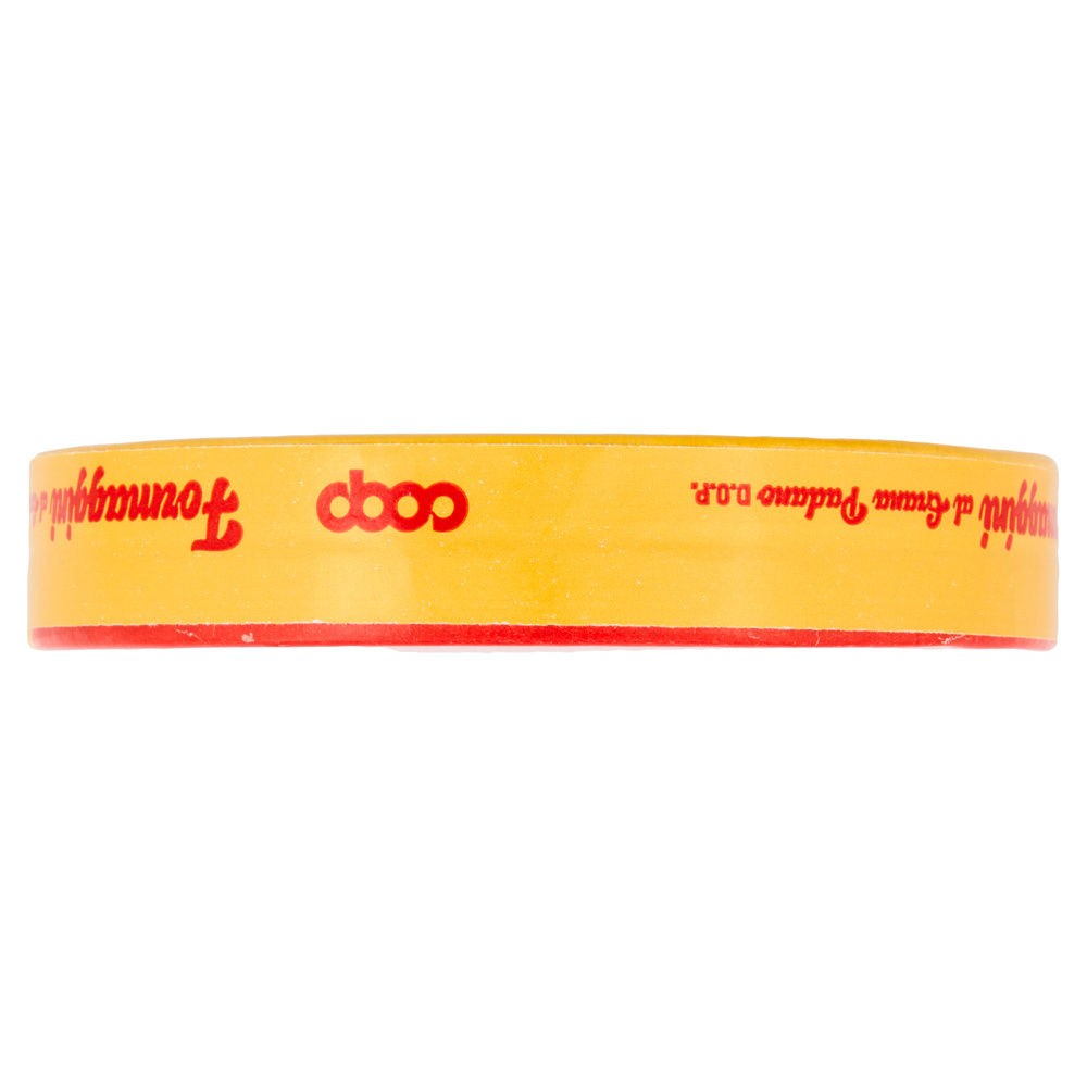 FORMAGGINI CON GRANA PADANO DOP COOP PZ 8 G 140 - 6