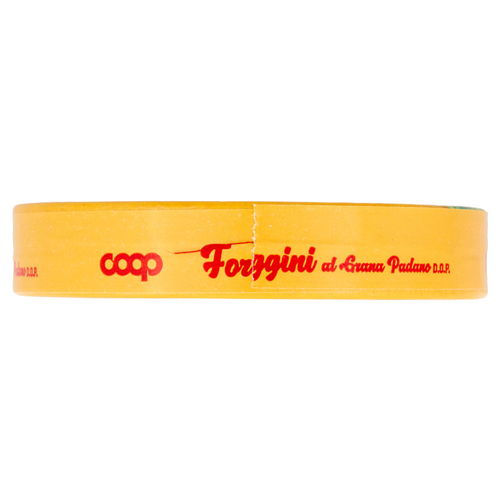 FORMAGGINI CON GRANA PADANO DOP COOP PZ 8 G 140 - 7
