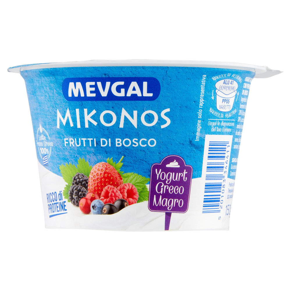 YOGURT FRUTTI DI BOSCO MIKONOS MEVGAL G 150 - 1