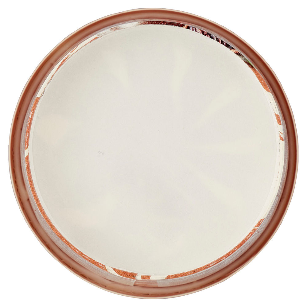 GELATO FIORDILATTE VARIEGATO CACAO S/ZUCCHERI AGGIUNTI COOP BARATTOLO G 250 - 2