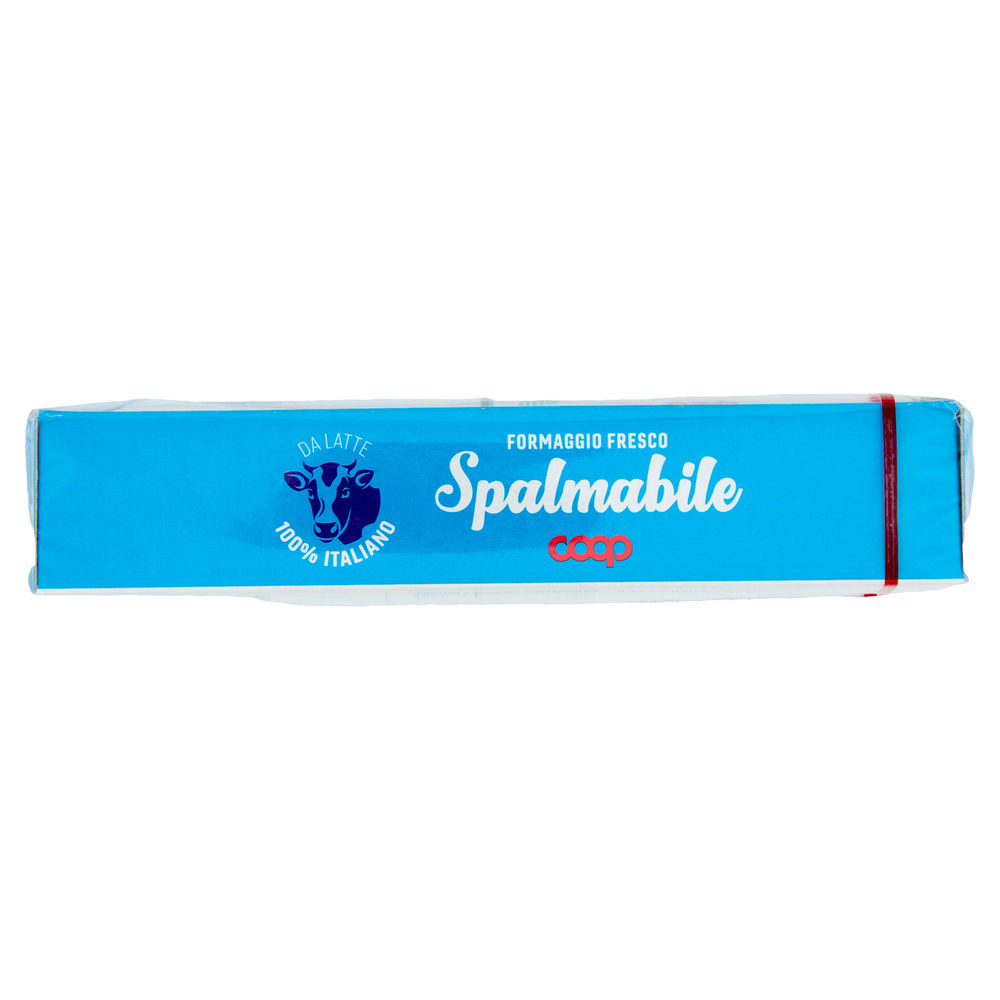 FORMAGGIO FRESCO SPALMABILE DADO COOP G80X2PZ G 160 - 7