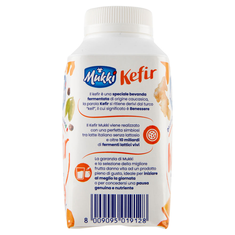 KEFIR ARANC/ZENZ/CARDAM. MUKKI 250ML - 3