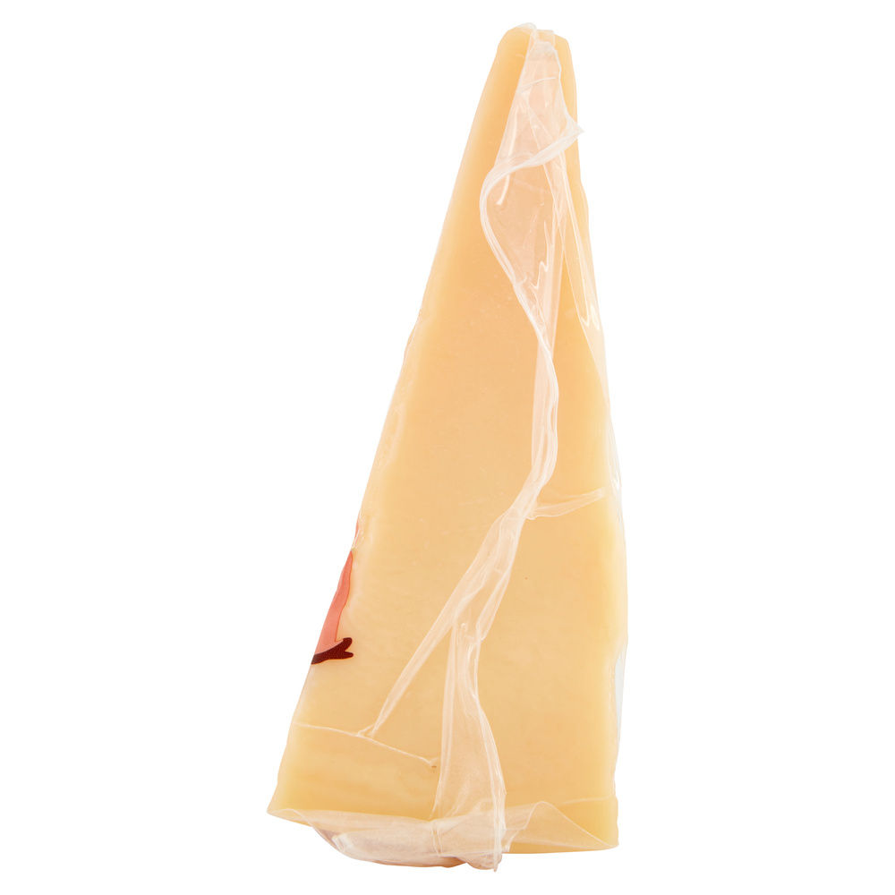 FORMAGGIO A PASTA DURA STAGIONATURA MINIMA 12 MESI GLI SPESOTTI COOP G 800 - 4