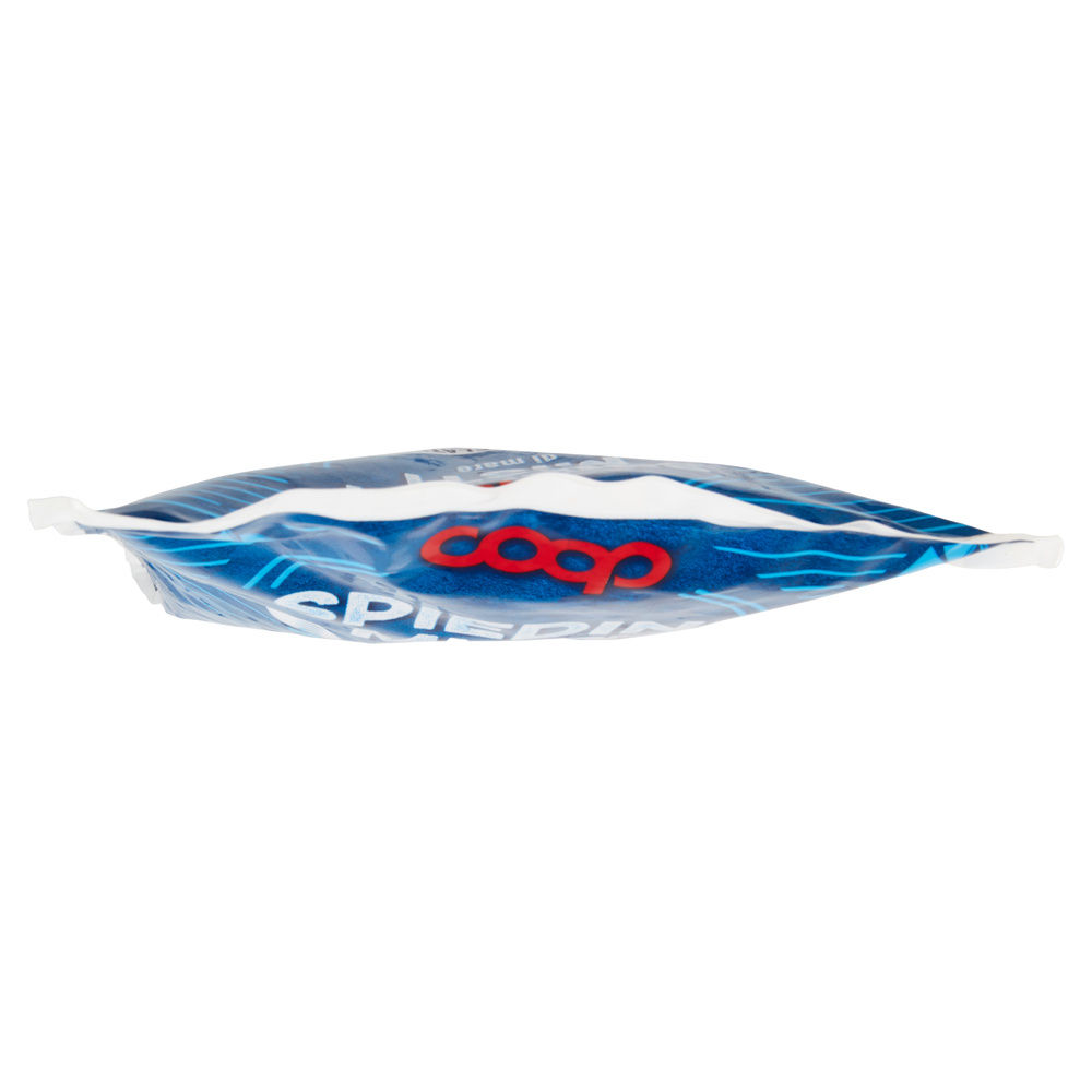 SPIEDINI MISTI DI MARE COOP BUSTA G 450 - 6