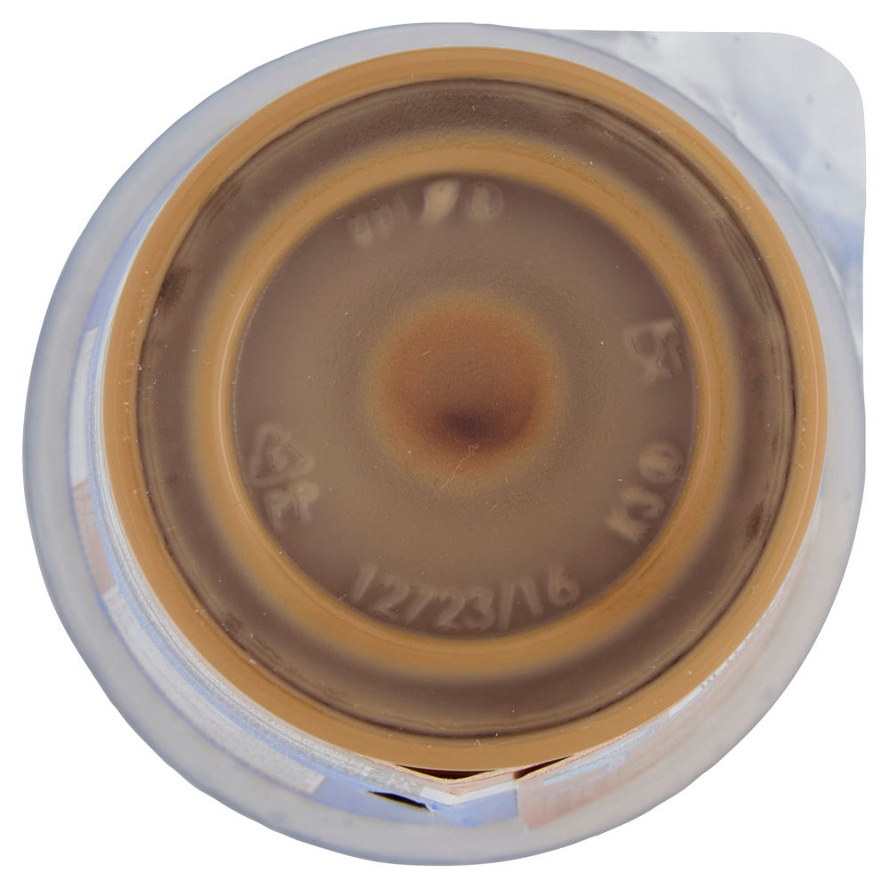 NESCAFÉ LATTE CAPPUCCINO ML 205 - 3