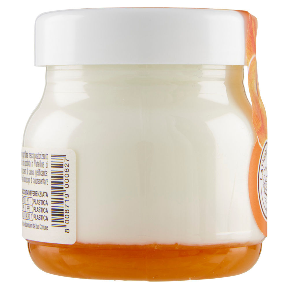 YOGURT ALPIYO' INTERO  ALBICOCCA G 125 - 7