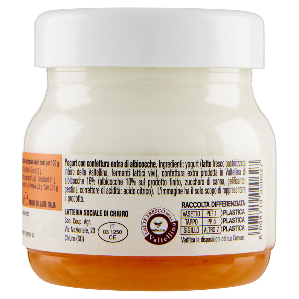 YOGURT ALPIYO' INTERO  ALBICOCCA G 125 - 1