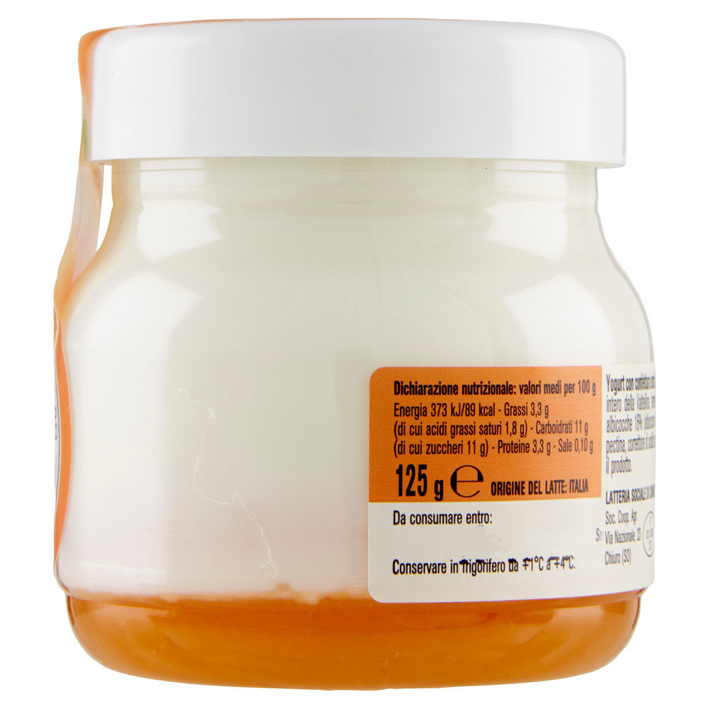 YOGURT ALPIYO' INTERO  ALBICOCCA G 125 - 2