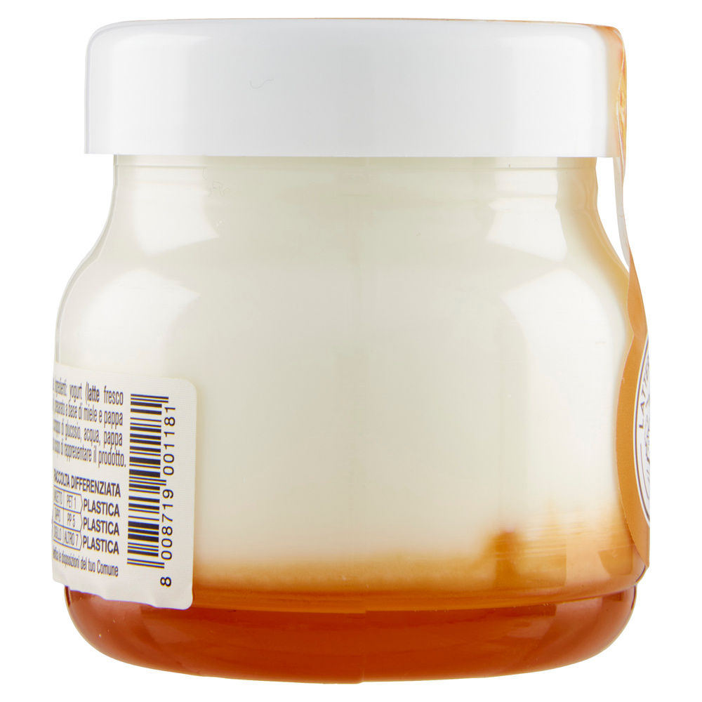 YOGURT ALPIYÒ INTERO MIELE E PAPPA REALE G125 - 4