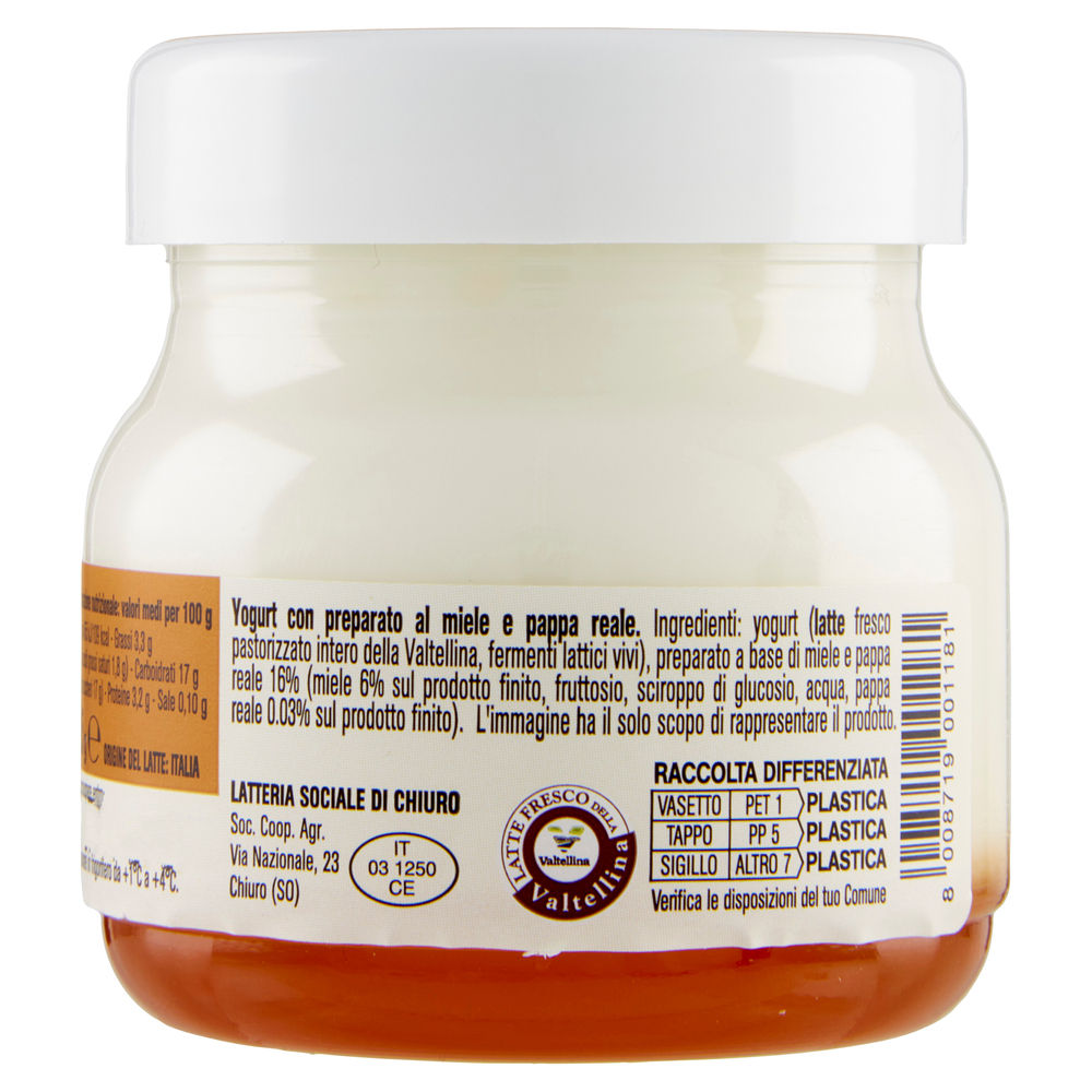 YOGURT ALPIYÒ INTERO MIELE E PAPPA REALE G125 - 1