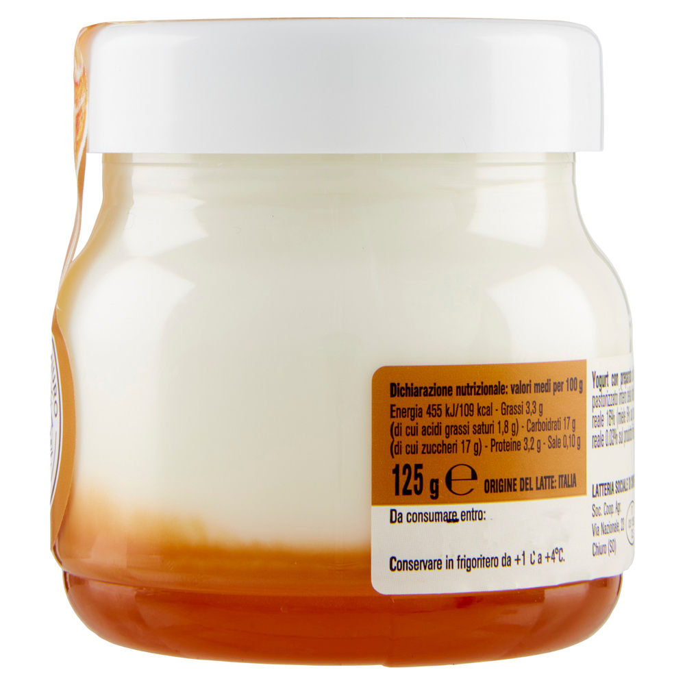 YOGURT ALPIYÒ INTERO MIELE E PAPPA REALE G125 - 7