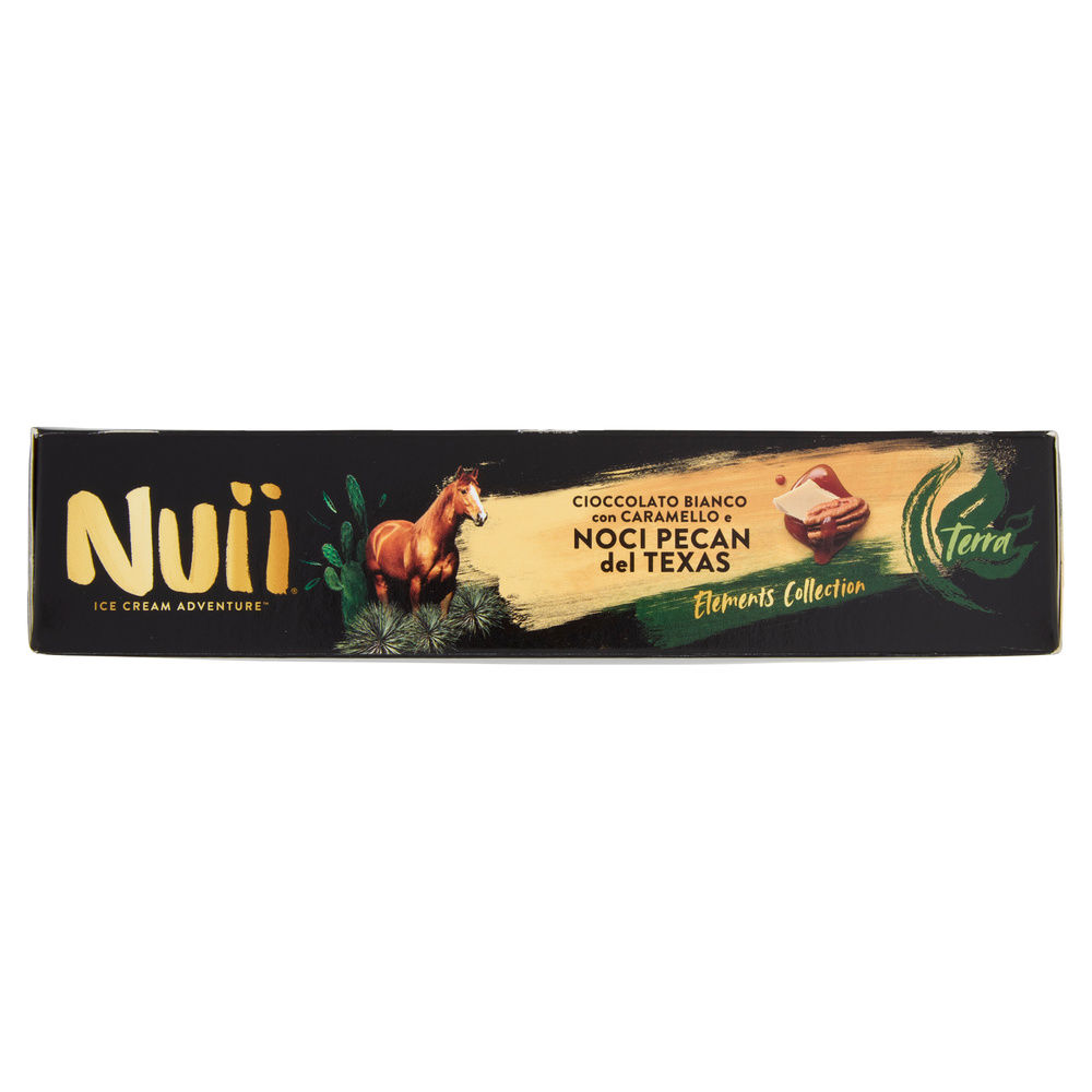 GELATO CIOCCOLATO BIANCO CON CARAMELLO E NOCI PECAN DEL TEXAS NUII PZ 3 G 198 - 4