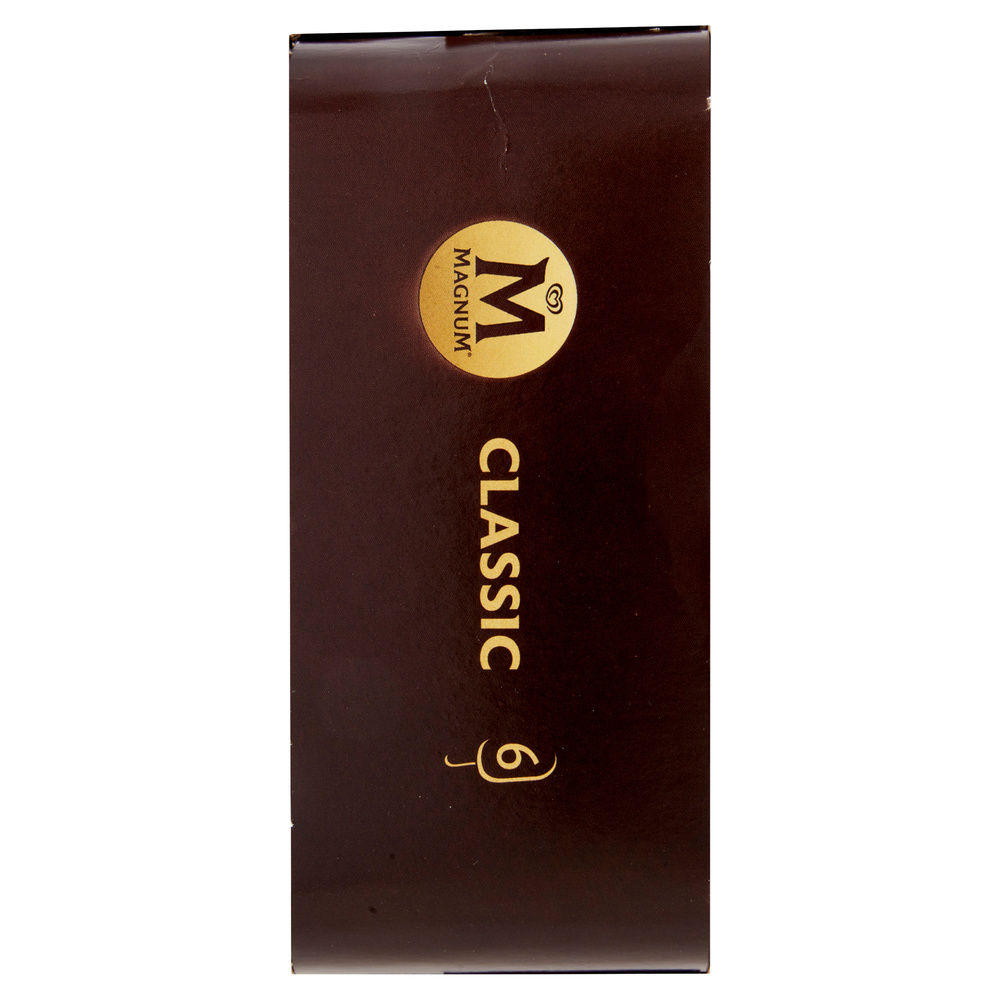 MAGNUM CLASSICO X6 G 450 - 4