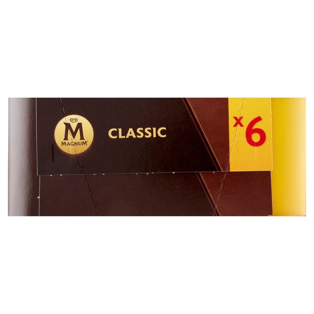 MAGNUM CLASSICO X6 G 450 - 7