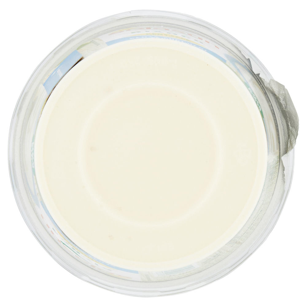 SOJASUN BIFIDUS BIANCO NATURALE CON CALCIO SENZA ZUCCHERO BARATTOLO G 250 - 6