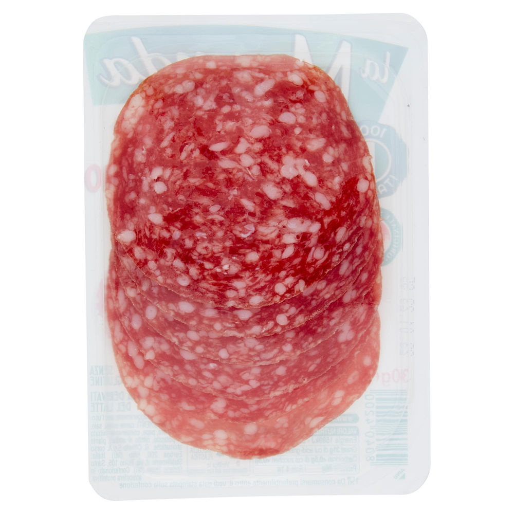 SALAME MILANO MERENDA CITTERIO VASCHETTA G 30 - 1