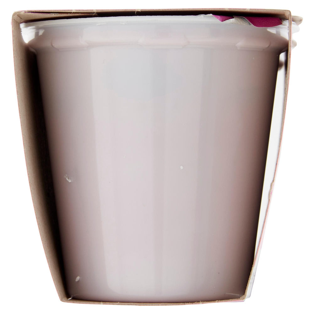 YOGURT MAGRO COOP 0% ANANAS 2X125 G - 5