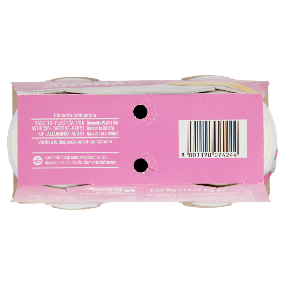 YOGURT MAGRO COOP 0% ANANAS 2X125 G - 7