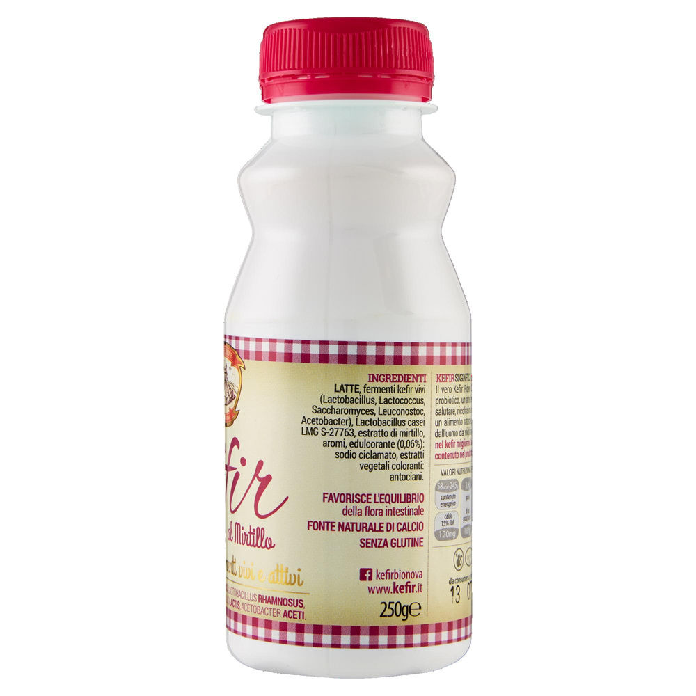 KEFIR BIONOVA MIRTILLO BTG 250 G - 5