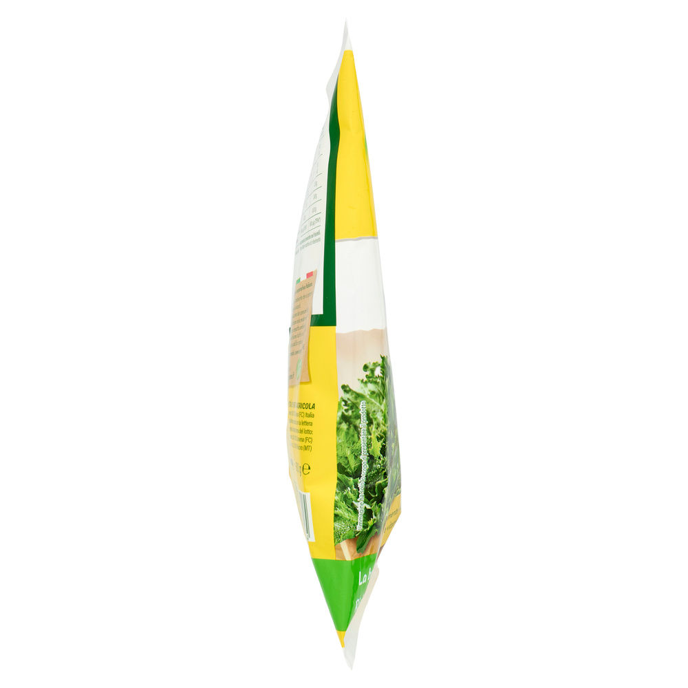 FRIARIELLI CUBELLO FOGLIA PIU' OROGEL G 600 - 3