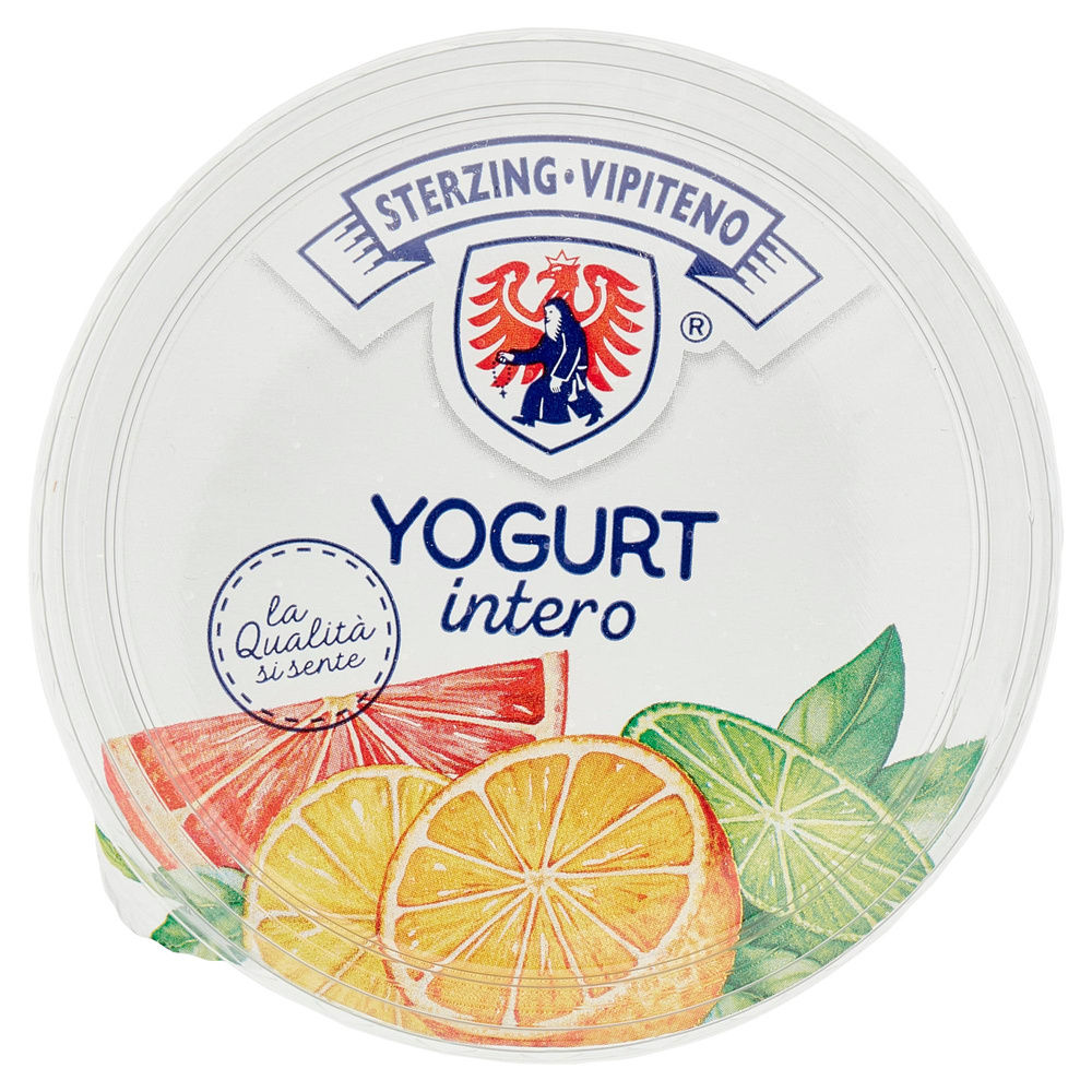 YOGURT CREMOSO VIPITENO AGRUMI GR.500 - 2