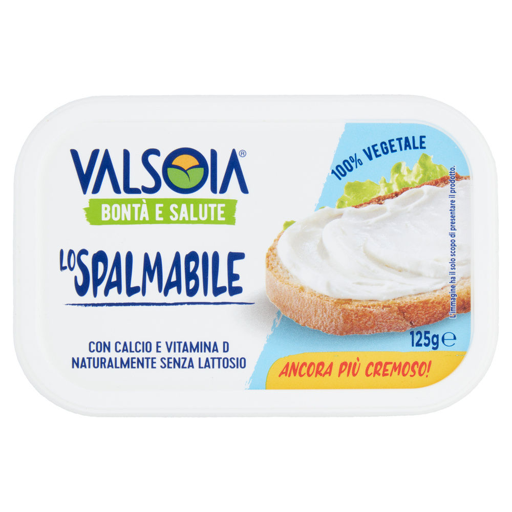 LO SPALMABILE VALSOIA G 125 - 4