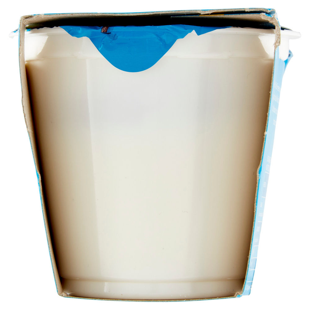 YOGURT BELLA VITA FREE SENZA LATTOSIO MERANO VANIGLIA 2X125G - 2